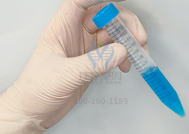 【佳学基因检测】DMBT1基因突变的靶向药物如何才能找到? 【佳学基因检测】DMBT1基因突变的靶向药物如何才能找到?